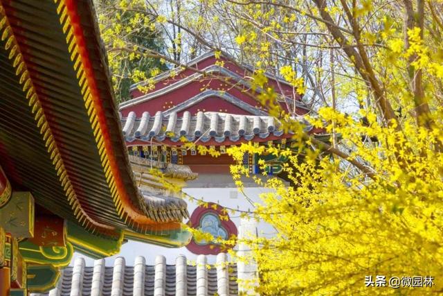 敛声息语的意思，敛声息语的意思是什么怎么造句（园林线上课堂<45>）