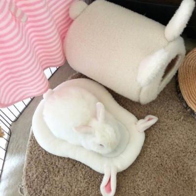 mini迷你网名，mini迷你微信昵称（迷你兔子宠物名字简单易养不挑食-可爱点）