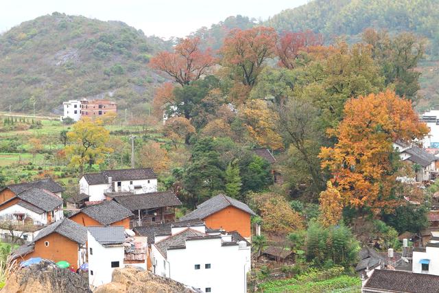 婺源在哪里属于哪个省，篁岭在哪里是哪个省（婺人依然有着浓厚的徽州情结）