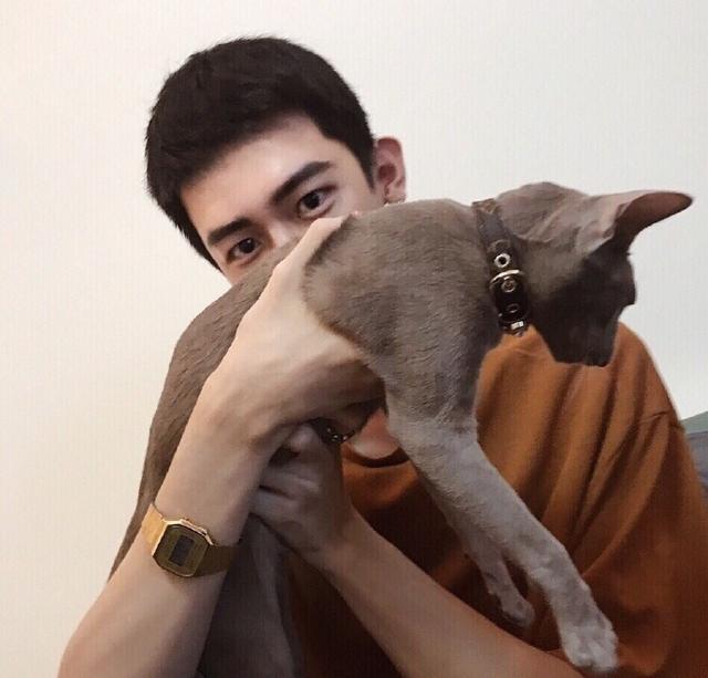 情侣头像二人专用，双人专用情侣头像 温柔只给意中人微信（情侣头像l“如果你不反对）