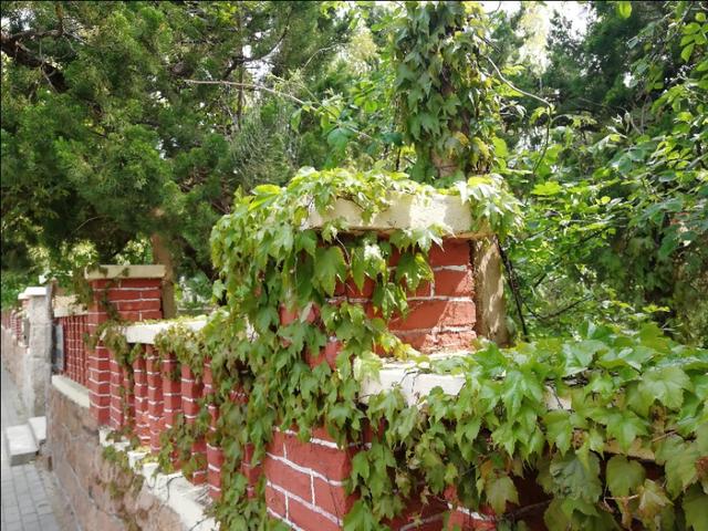 鹤山市信息网张姨的男妾，张巡杀妾小说（杨玉环和唐明皇的爱情史）