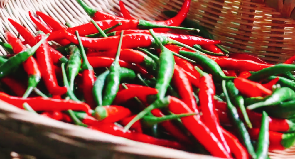 圖片[3]-【四川泡菜】做法步驟圖 酸辣爽脆不生花 放一年不會(huì)壞-起舞食譜網(wǎng)