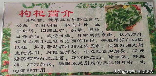 梅州腌面做法，梅州腌面的做法和配方（广东梅州的客家美食～腌面的来历）