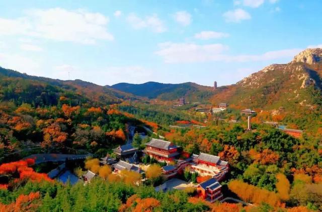 满山红叶似彩霞，阿宝歌曲大全（山东最全赏红叶地图来了）