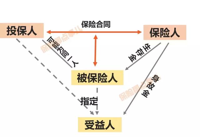 holder是什么意思，beholder是什么意思（保单及其保险金，究竟归谁）