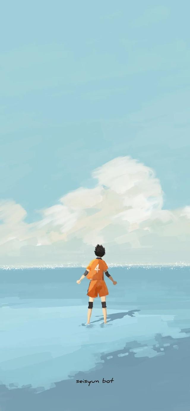 排球少年阵容介绍，《排球少年》最后什么结局