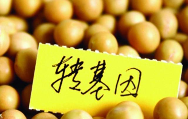 转基因食品一览表(崔永元反转基因的目的)