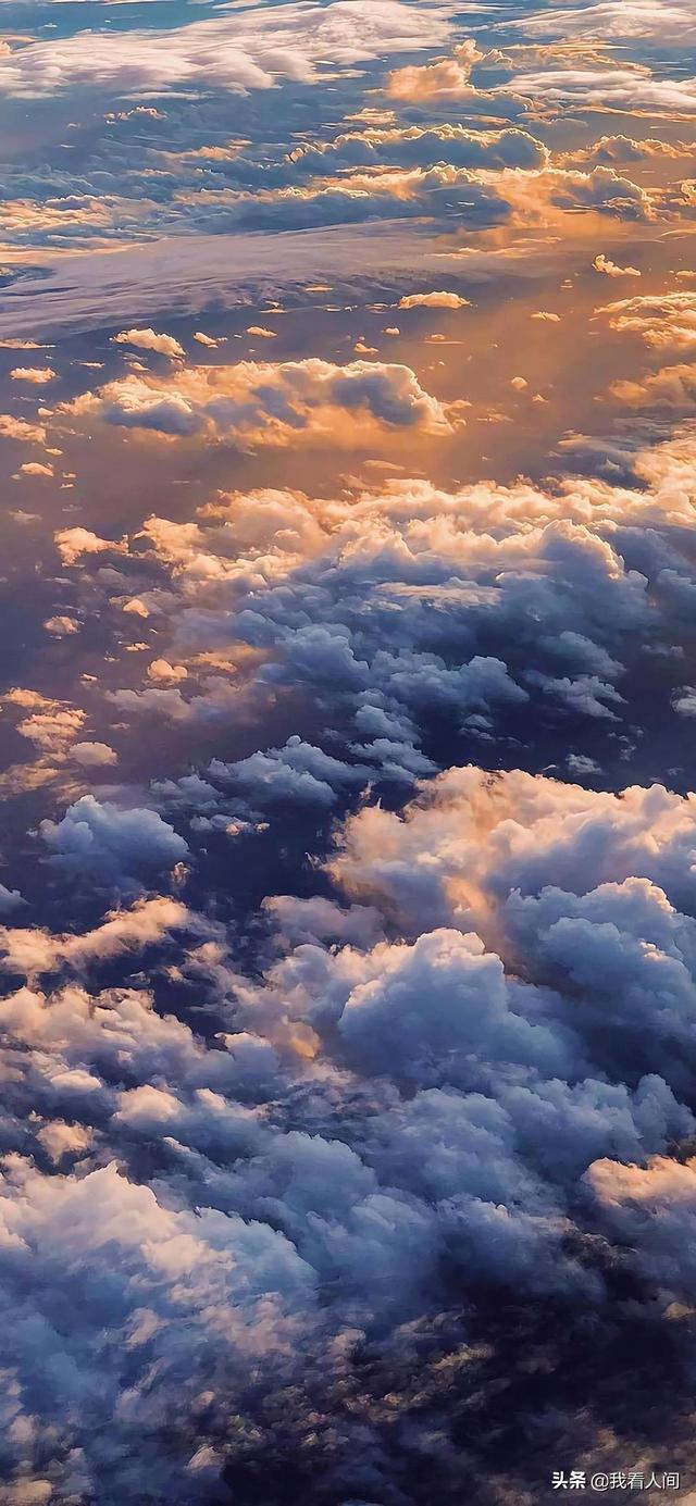 道枝骏佑壁纸❤❤，道枝骏佑图片高清头像（学生党壁纸！超好看）