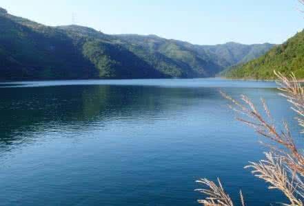 梦见麻雀是什么意思，女人梦见麻雀是什么意思（各种胎梦，你做过哪些呢）