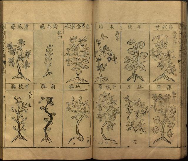 本草纲目全书带图，李时珍本草纲目全书（李时珍著《本草纲目》附图卷）