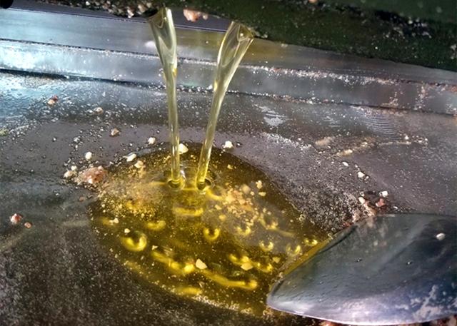 色拉油是什么油，色拉油是什么油可以用什么代替（它和食用油，调和油有什么区别）