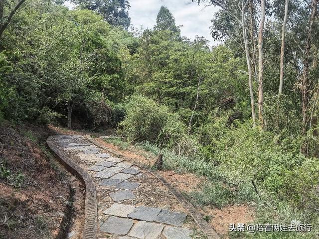 洱海海拔多少米，洱海拔多少米高（发现真是个绝佳的免费宝藏遛娃地）