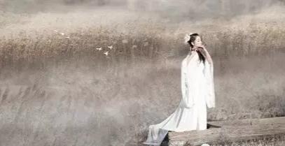 爱莫能助的莫是什么意思，爱莫能助是什么意思（带我们走进千年之美的《诗经》）