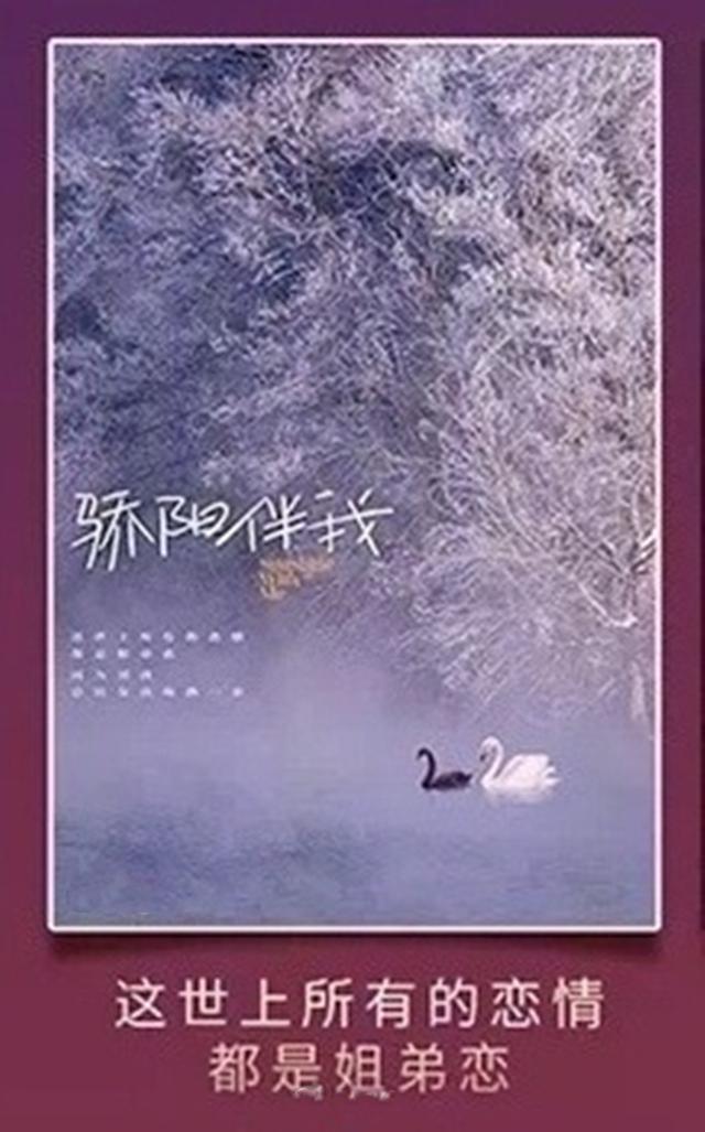 肖战演过的现代电视剧有哪些，肖战的电视剧有哪些现代剧（网曝肖战将出演《骄阳伴我》）