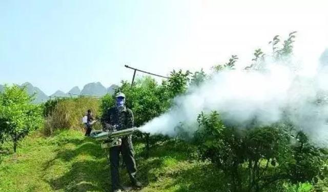 硫酸锰是沉淀吗，硫酸镁是沉淀吗（磷酸二氢钾不能和这些药和肥搭配）