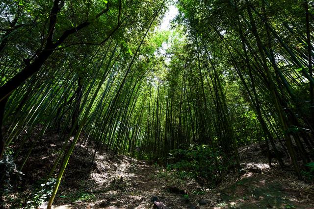 介绍汝州风穴寺，中原名寺——河南汝州风穴寺