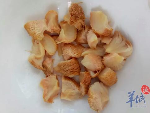 猴头菇的功效与作用及食用方法，猴头菇和什么煲汤最好（猴头菇煲汤棒棒哒）