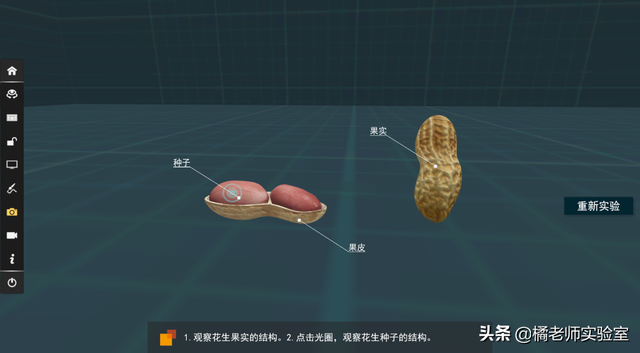 花是植物的什么器官，花是一些植物的什么器官（花是植物的什么器官）