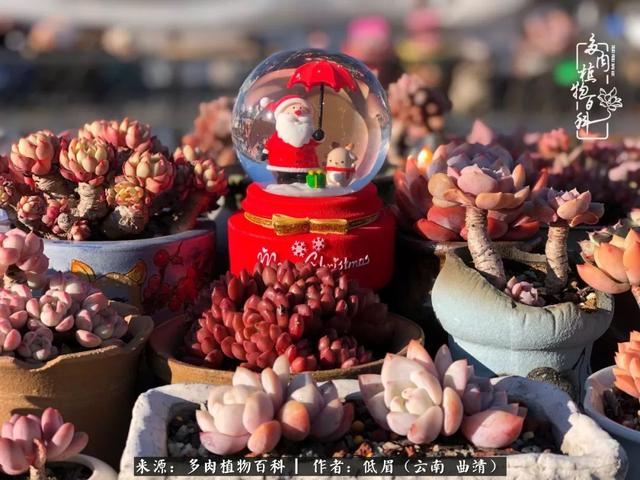 很丧很失望——低眉.，皱着眉头哭丧（陪你度过寒冷的圣诞平安夜图片）