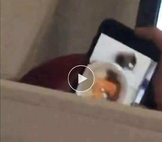 欧阳娜娜在的地方 陈飞宇永远是侧脸，微信头像，欧阳娜娜在的地方 陈飞宇永远是侧脸（欧阳娜娜x陈飞宇x綦美合x王一博）