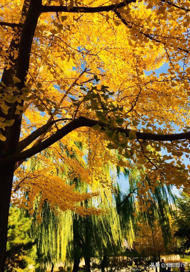 元大都遗址位于现在哪里，元大都遗址位于现在的哪个城市（遗迹众多、秋色醉人、晨跑、遛弯的生态园林）