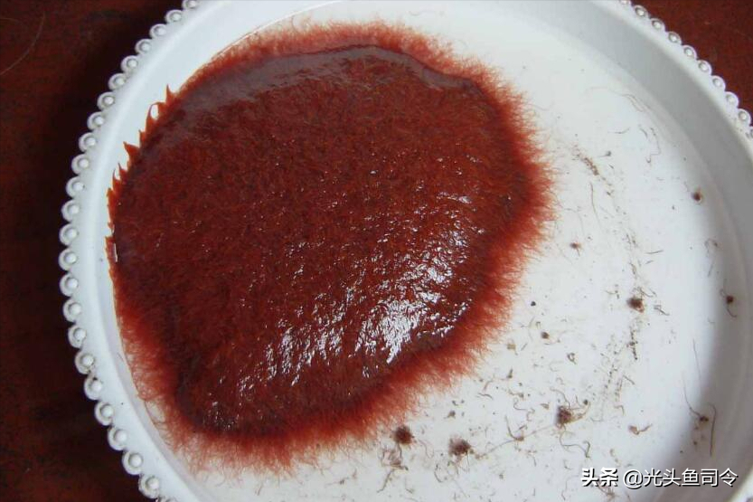 鱼生寄生虫(顺德鱼生寄生虫)