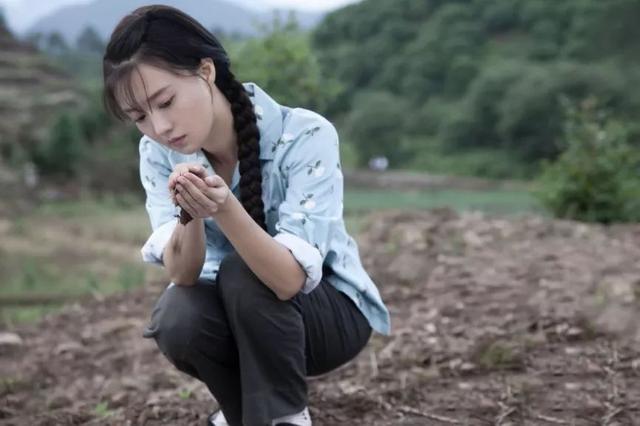 傅晶全部的电视剧，专注品质的傅晶用实力扛起了这部大女主剧