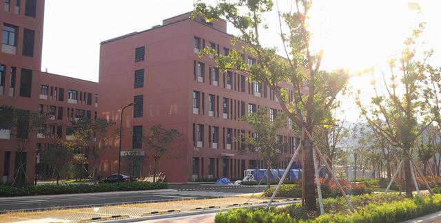 浙江海洋学院东海科学技术学院，浙江海洋学院东海科学技术学院专业排名情况（浙江省内一所高校迎来“新突破”）