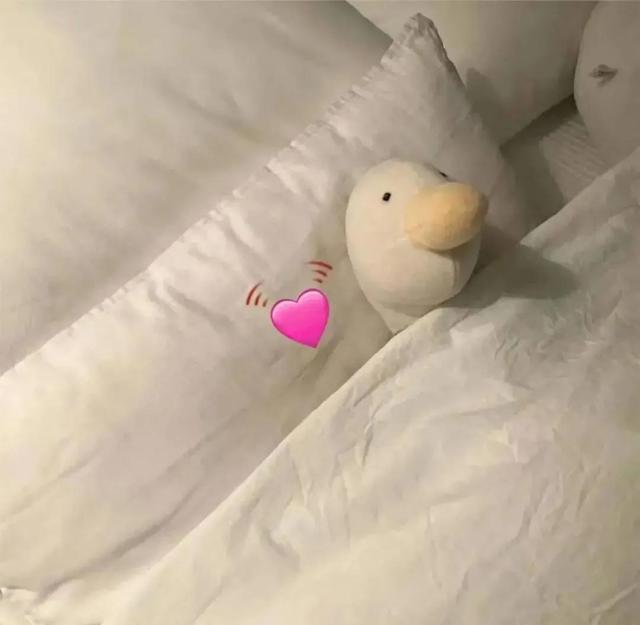 100组沙雕情侣头像，沙雕图片情侣头像（令人眼前一亮的发圈文案）