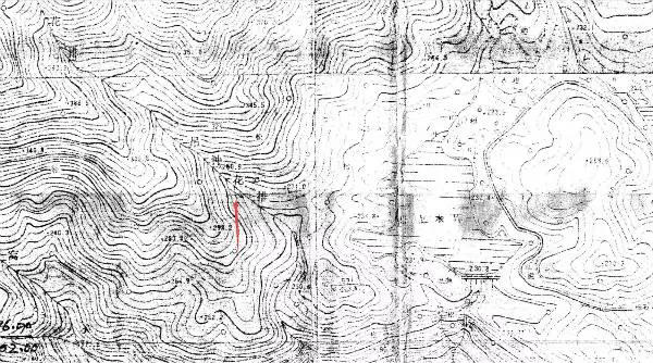 野生吊钟花什么时候开花，吊钟花结果吗（鲜艳的春节红已提早报春）