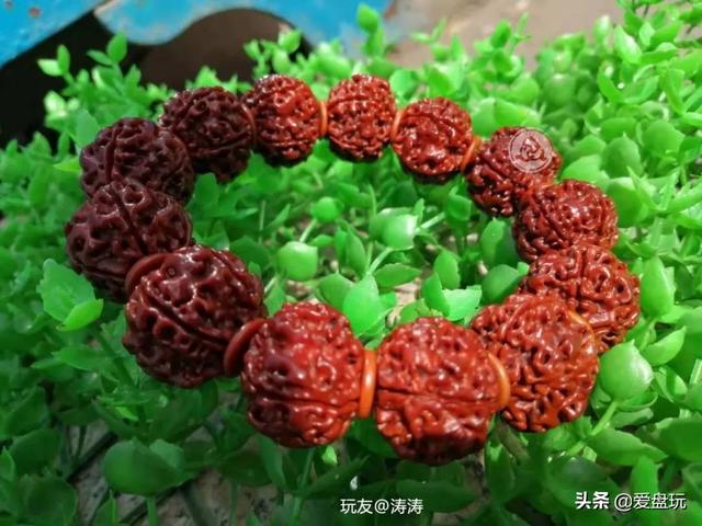 桃核手串什么样的最名贵，什么品种的桃核手串好有价值（这6种“白菜价”手串）