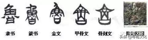 鲁姓起源来源详解,鲁姓的来源和历史名人(鲁-汉字的艺术与中华姓氏文化荀卿庠整理) 鲁姓起源来源详解,鲁姓的来源和历史名人(鲁-汉字的艺术与中华姓氏文化荀卿庠整理)