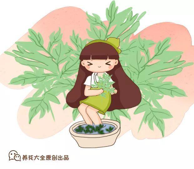 艾草能驱蚊子吗，艾草驱蚊吗（比花露水还管用）