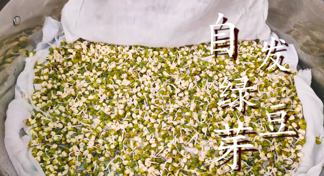在家怎么发绿豆芽步骤，还是老方法靠谱