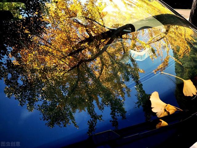 浅陌是什么意思，深陌是什么意思（跌落岁月故纸的信笺）