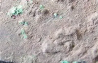 铜生锈了怎么去除铜锈，铜锈怎么去除方法（教你最专业的去锈及保养方法）