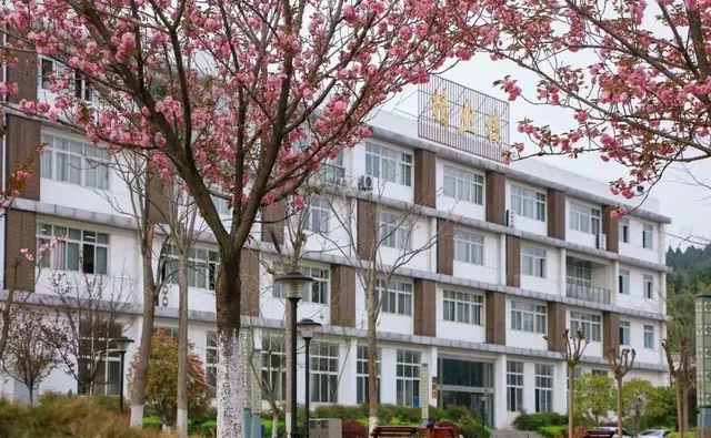 九州职业技术学院2019年招生章程，今年还要进行高职单招