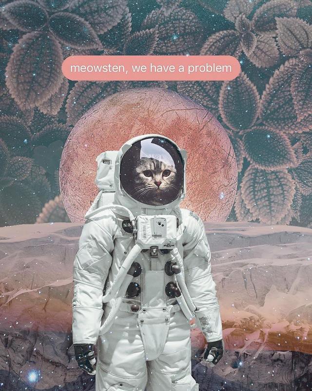 宇航员，微信头像，宇航员（宇航员壁纸\u0026头像第二期丨你好）