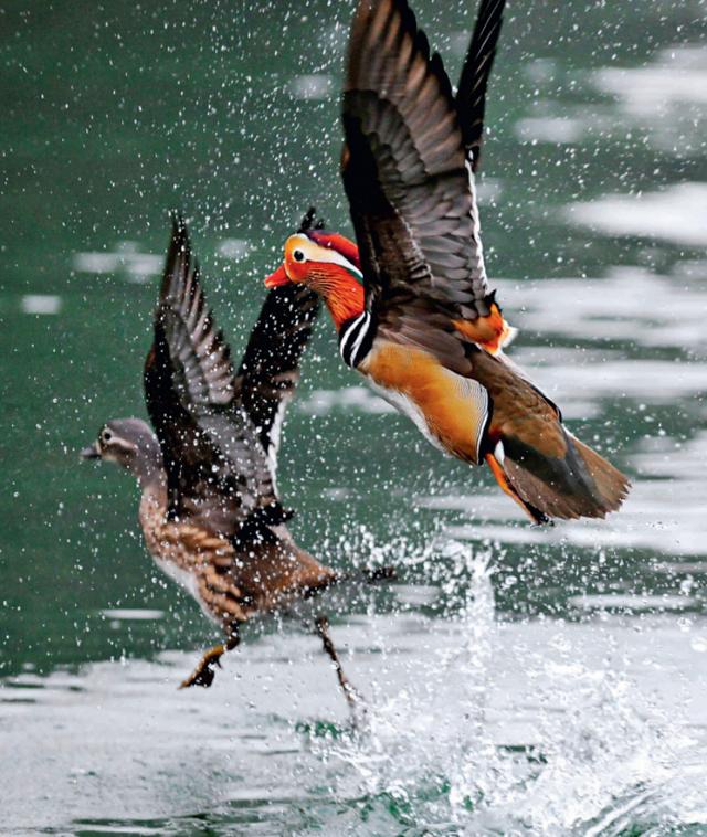 乌江道上古诗李白，乌江道上古诗李白没铁（乌江道上古诗李白赏析）