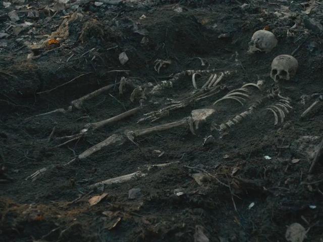 2020年国庆节，2020年是第几个国庆节（2020十佳电影片单）