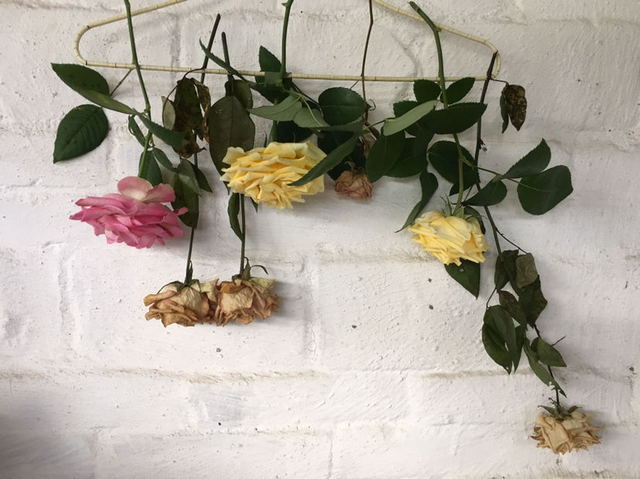 鲜花如何做成干花，如何把鲜花做成干花（快死的鲜花别急着扔）