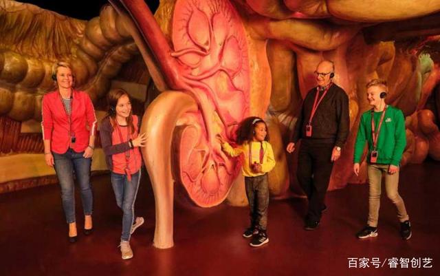 荷兰人体博物馆，博物馆令人害羞的展品（在惊悚中学知识——荷兰超逼真的）