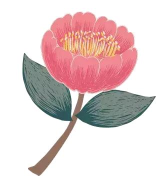 十二时辰养生对照表,子午流注十二时辰养生漫画图解 十二时辰养生对照表,子午流注十二时辰养生漫画图解