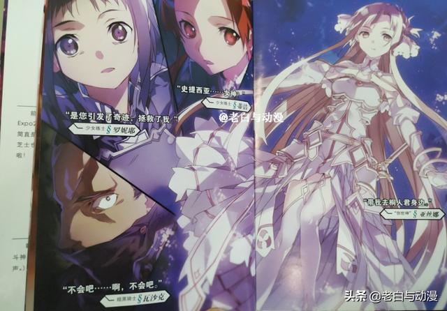 刀剑神域第三季后半图，亚丝娜化身创世神进入UW