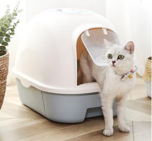 猫咪乱拉屎怎么办，猫乱拉屎怎么办（家中的猫咪乱拉臭臭怎么办）