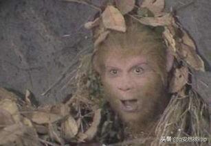 西游记第七回主要内容，关于西游记第七回内容概括（西游记第七回-玉帝杀不了悟空反被操）