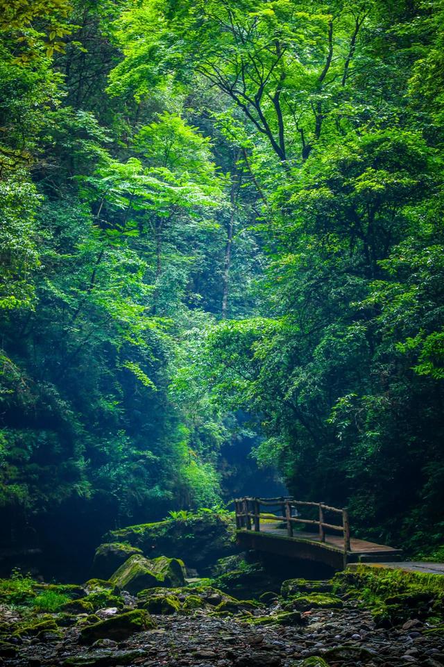 广元市哪里，广元市哪里可以打新冠疫苗（四川这座城市没成都有名）