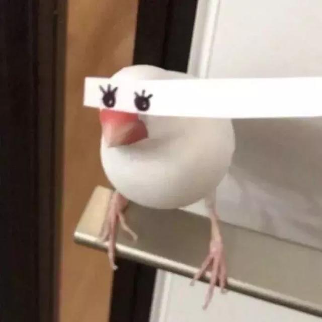 单身汪专用情头，微信头像，单身汪专用情头（超级甜的100张情侣头像拿好不谢）