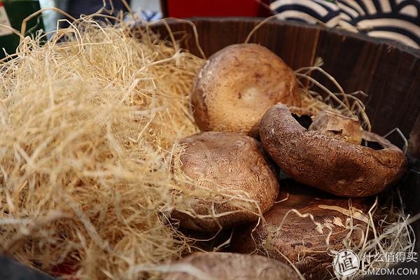 索尼t100电池型号，索尼相机八款第三方品牌可充电电池拆解（新手向开箱—Canon）