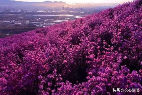 塞外苏杭指的是内蒙古的什么地方，被称为塞外苏杭的是哪里（内蒙古扎兰屯——塞外苏杭）